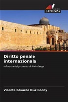 Vicente Eduardo Díaz Godoy - Diritto penale internazionale