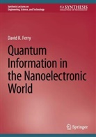 David K Ferry, David K. Ferry - Quantum Information in the Nanoelectronic World