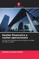 Stephen Karanja Mathu - Gestão financeira e custos operacionais