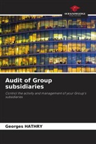Georges Hathry - Audit of Group subsidiaries