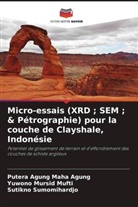 Putera Agung Maha Agung, Yuwono Mursid Mufti, Sutikno Sumomihardjo - Micro-essais (XRD ; SEM ; & Pétrographie) pour la couche de Clayshale, Indonésie