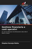 Stephen Karanja Mathu - Gestione finanziaria e costi operativi