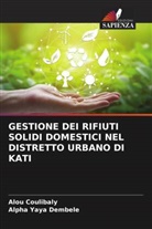 Alou Coulibaly, Alpha Yaya Dembele - GESTIONE DEI RIFIUTI SOLIDI DOMESTICI NEL DISTRETTO URBANO DI KATI