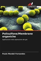 Paulo Mendel Fernandes - Polisulfone/Membrane organiche