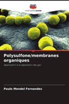 Paulo Mendel Fernandes - Polysulfone/membranes organiques