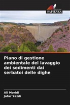 Ali Moridi, Jafar Yazdi - Piano di gestione ambientale del lavaggio dei sedimenti dai serbatoi delle dighe