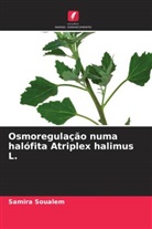 Samira SOUALEM - Osmoregulação numa halófita Atriplex halimus L.