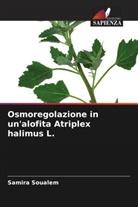 Samira SOUALEM - Osmoregolazione in un'alofita Atriplex halimus L.