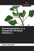 Samira Soualem - Osmoregulation in a halophyte Atriplex halimus L.
