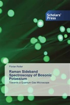 Florian Reiter - Raman Sideband Spectroscopy of Bosonic Potassium