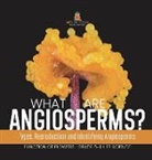 Baby - What are Angiosperms? Types, Reproduction and Identifying Angiosperms | Function of Flowers | Grade 6-8 Life Science