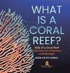 Baby - What is a Coral Reef? Role of a Coral Reef | Functions of Cnidarians and Sponges | Grade 6-8 Life Science