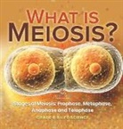 Baby - What is Meiosis? Stages of Meiosis, Prophase, Metaphase, Anaphase and Telophase | Grade 6-8 Life Science
