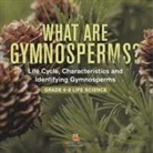 Baby - What are Gymnosperms? Life Cycle, Characteristics and Identifying Gymnosperms | Grade 6-8 Life Science
