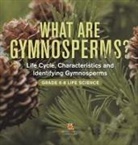 Baby - What are Gymnosperms? Life Cycle, Characteristics and Identifying Gymnosperms | Grade 6-8 Life Science