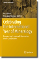 Luca Bindi, Cruciani, Giuseppe Cruciani - Celebrating the International Year of Mineralogy