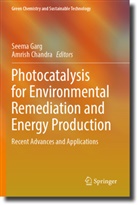 Chandra, Amrish Chandra, Seema Garg - Photocatalysis for Environmental Remediation and Energy Production