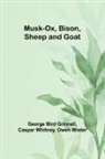 George Bird Grinnell, Caspar Whitney - Musk-Ox, Bison, Sheep and Goat