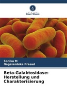 Sonika M, Nagalambika Prasad - Beta-Galaktosidase: Herstellung und Charakterisierung