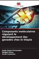 Jorge Amat Fernández, Scott Cummins, Abigail Elizur - Composants moléculaires régulant le développement des gonades chez le tilapia