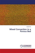 Joydip Paul - Mixed Convection in a Porous Bed