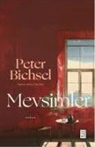 Peter Bichsel - Mevsimler