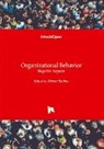 Kivanc Bozkus - Organizational Behavior - Negative Aspects