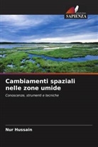 Nur Hussain - Cambiamenti spaziali nelle zone umide