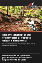 Reginaldo Brito da Costa, Helder Pereira de Figueiredo, João Henrique de Souza Barros - Impatti antropici sui frammenti di foresta urbana rimanenti