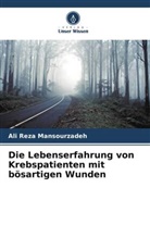 Ali Reza Mansourzadeh - Die Lebenserfahrung von Krebspatienten mit bösartigen Wunden