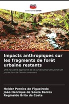 Reginaldo Brito da Costa, Helder Pereira de Figueiredo, João Henrique de Souza Barros - Impacts anthropiques sur les fragments de forêt urbaine restants