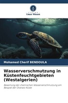 Mohamed Cherif Bendoula - Wasserverschmutzung in Küstenfeuchtgebieten (Westalgerien)