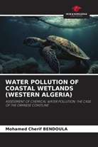 Mohamed Cherif Bendoula - WATER POLLUTION OF COASTAL WETLANDS (WESTERN ALGERIA)
