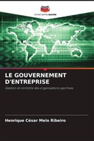 Henrique César Melo Ribeiro - LE GOUVERNEMENT D'ENTREPRISE