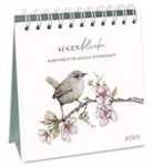 Rebekka Rochlitzer - AugenBlicke - Aufstellbuch