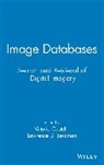 Vittorio (Ibm T.j. Watson Research Cente Castelli, Lawrence D Bergman, Lawrence D. Bergman, Bergman Lawrence D., Vittorio Castelli, Castelli Vittorio - Image Databases