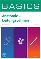 Fabian Rengier - BASICS Anatomie - Leitungsbahnen