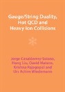 Jorge Casalderrey-Solana, Casalderrey-Solana Jorge, Hong Liu, Liu Hong, David Mateos, Mateos David... - Gauge/String Duality, Hot QCD and Heavy Ion Collisions