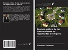 Olutumbi A. Babayomi - Examen crítico de las transacciones no registradas en Nigeria