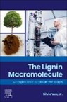 Silvio Vaz Jr., Silvio Vaz Jr - The Lignin Macromolecule
