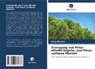 Silva Moreira - Erzeugung von Pinus elliottii Engelm. und Pinus caribaea Morelet