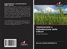 Hassina Hafida Boukhalfa - Impostazione e manutenzione delle colture