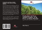 Silva Moreira - Production de Pinus elliottii Engelm. et de Pinus caribaea Morelet