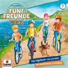 Enid Blyton - Fünf Freunde JUNIOR: Das Ungeheuer von Lorness / Die entführten Tierbabys, 1 Audio-CD (Hörbuch)
