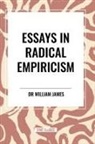 William James - Essays in Radical Empiricism