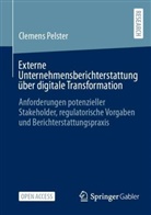 Clemens Pelster - Externe Unternehmensberichterstattung über digitale Transformation