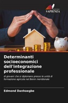 Edmond Danhoegbe - Determinanti socioeconomici dell'integrazione professionale