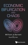William A Barnett, William A Barnett, Ruoning Han William A Barnett - Economic Bifurcation And Chaos