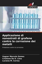 Cristiane de O. Lima, Vagner Marcelo Gomes, Luciana M. Correa - Applicazione di nanostrati di grafene contro la corrosione dei metalli