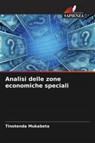Tinotenda Mukabeta - Analisi delle zone economiche speciali